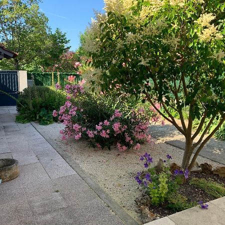 Petite Maison Pres Du Centre L'Isle-sur-la-Sorgue Bagian luar foto
