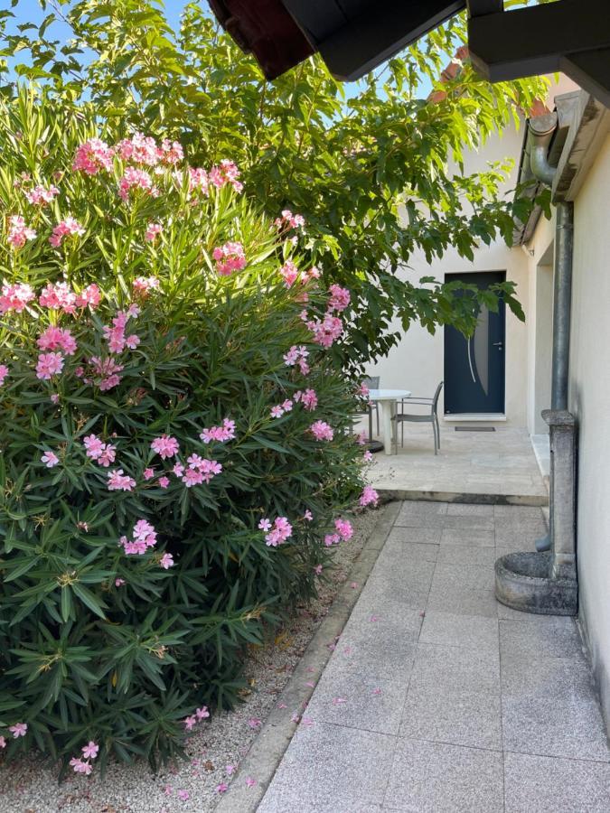 Petite Maison Pres Du Centre L'Isle-sur-la-Sorgue Bagian luar foto